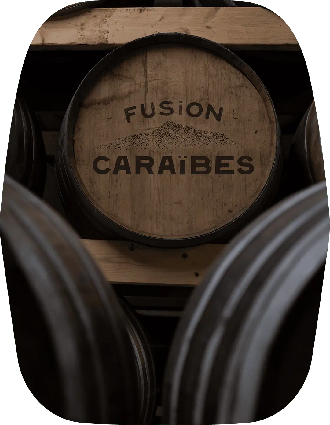 Héritage et imagination Rhums Fusion Caraïbes